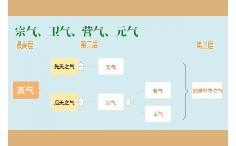 中醫(yī)里的“宗氣”、“衛(wèi)氣”、“營氣”、“元氣”