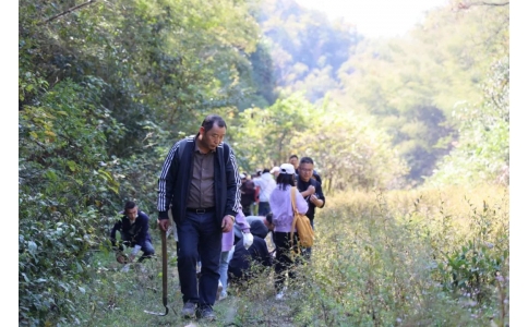 踏秋尋寶，聞香識藥！首屆神農(nóng)杯野外識藥大賽在株洲鳳凰山景區(qū)成功舉辦！